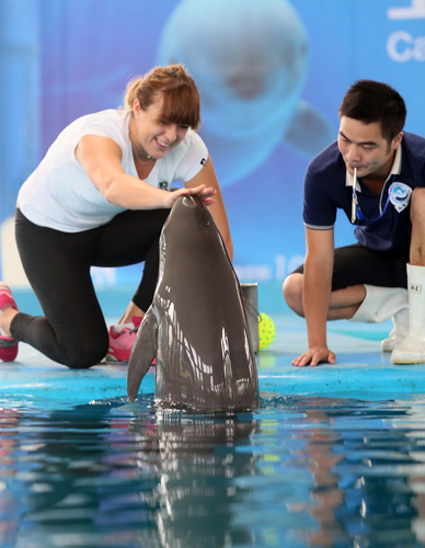 仅仅是关于 仅仅是关于