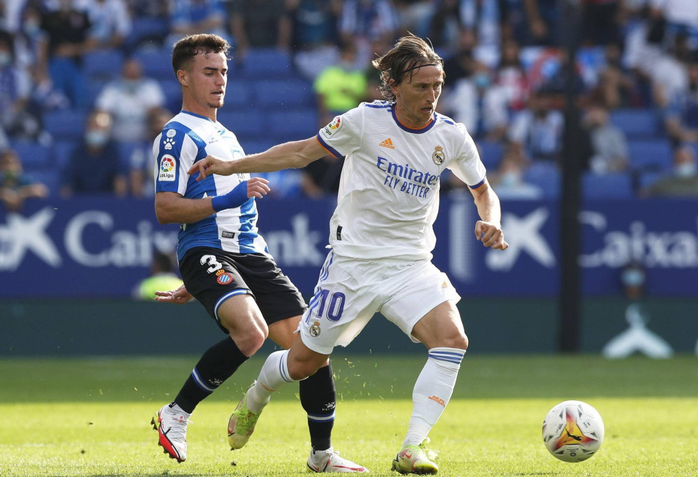 主教练波特 主教练波特