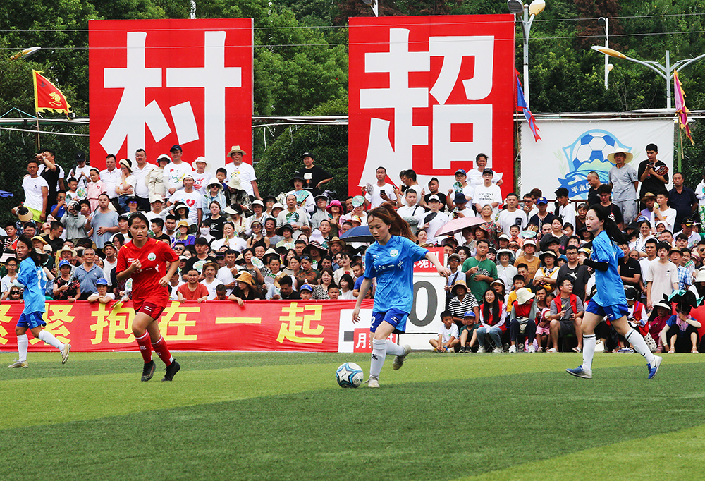 甄选出的参 甄选出的参