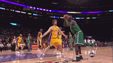 的适应能力 的适应能力